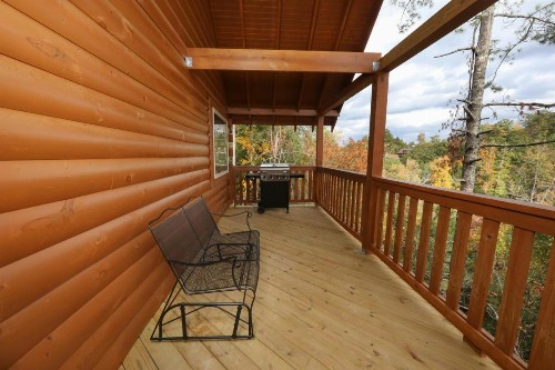 651 Country Oaks Dr Cabin - image 11