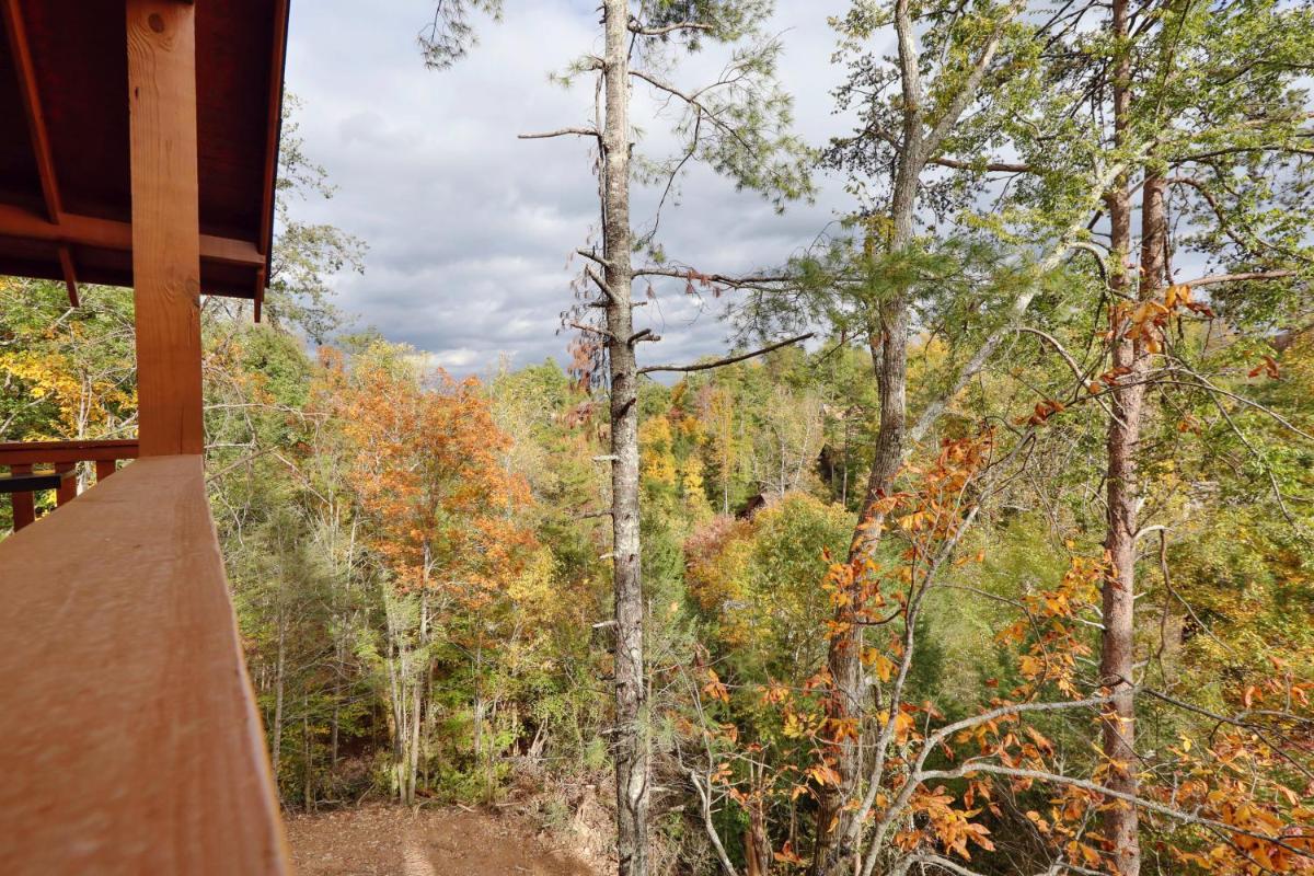 651 Country Oaks Dr Cabin - image 7