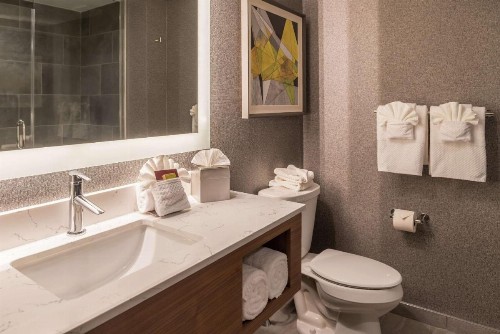 Doubletree By Hilton Lafayette East - image 42