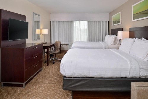 Holiday Inn Express Hotel & Suites Lafayette an IHG Hotel - image 31