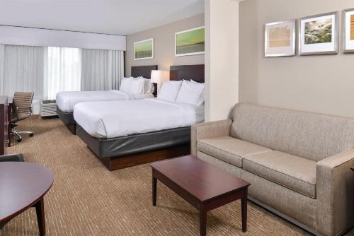 Holiday Inn Express Hotel & Suites Lafayette an IHG Hotel - image 33