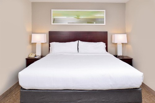Holiday Inn Express Hotel & Suites Lafayette an IHG Hotel - image 37