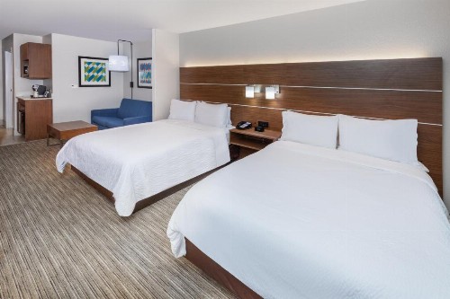Holiday Inn Express Hotel & Suites Lafayette South an IHG Hotel - image 38