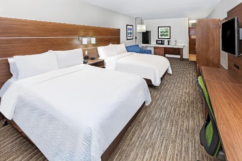 Holiday Inn Express Hotel & Suites Lafayette South an IHG Hotel - image 4