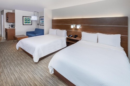 Holiday Inn Express Hotel & Suites Lafayette South an IHG Hotel - image 48