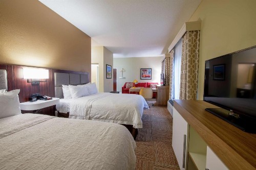 Hampton Inn and Suites Lafayette - image 11