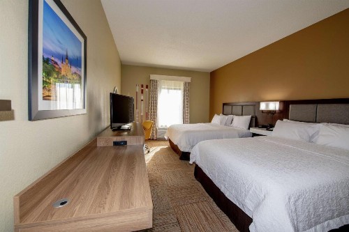 Hampton Inn and Suites Lafayette - image 15