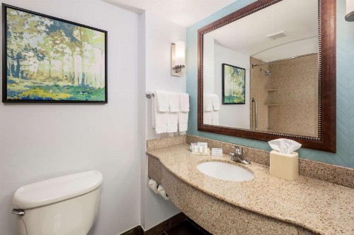 Hilton Garden Inn Lafayette/Cajundome - image 18