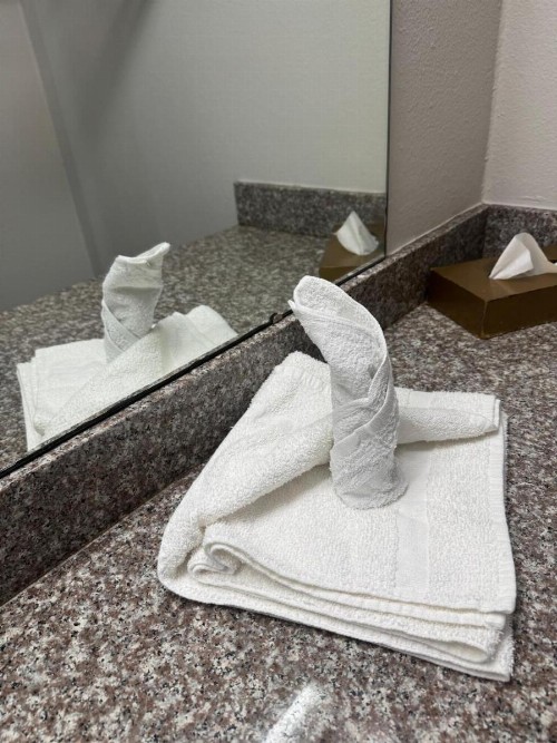 Discovery Inn Lafayette - image 4