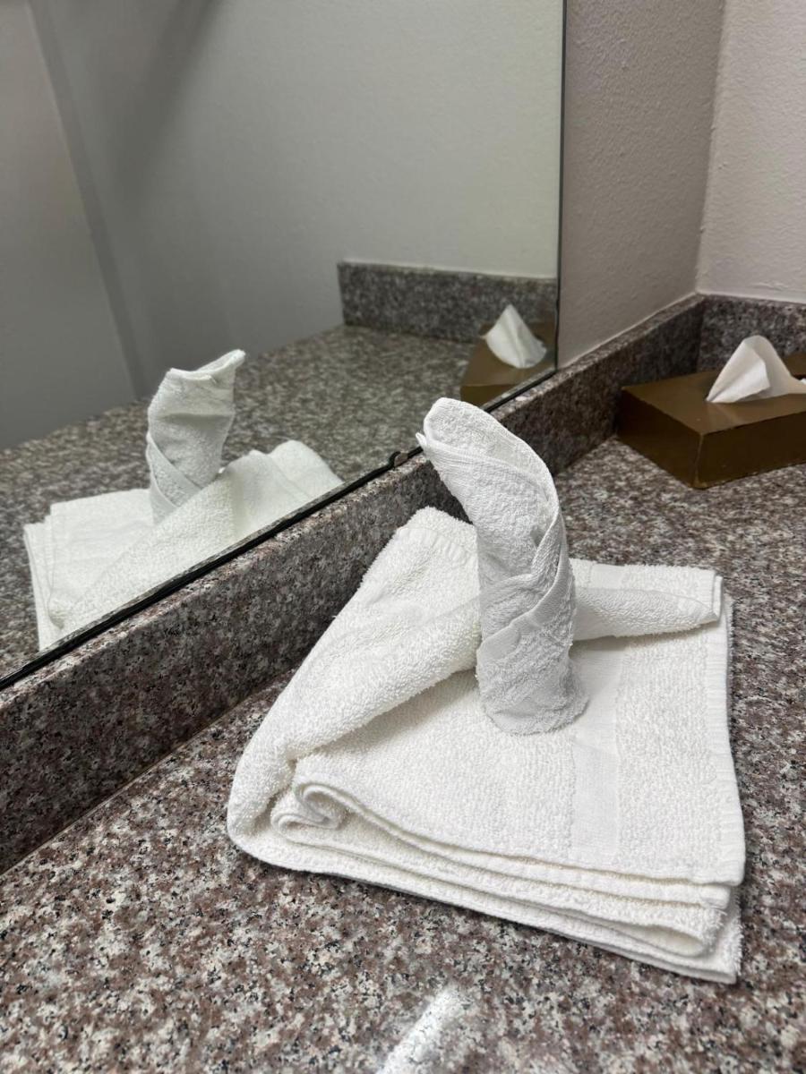 Discovery Inn Lafayette - image 4