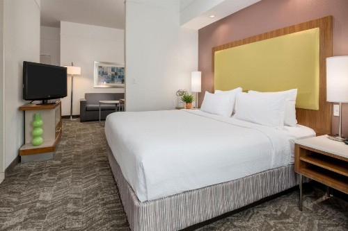 SpringHill Suites by Marriott Lafayette South at River Ranch - image 23