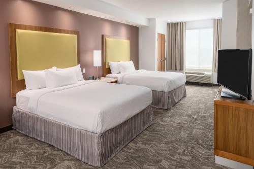 SpringHill Suites by Marriott Lafayette South at River Ranch - image 25