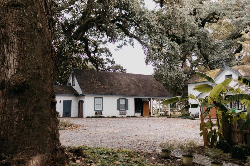 Mouton Plantation - image 35