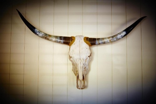 Laguna Beach House - image 12