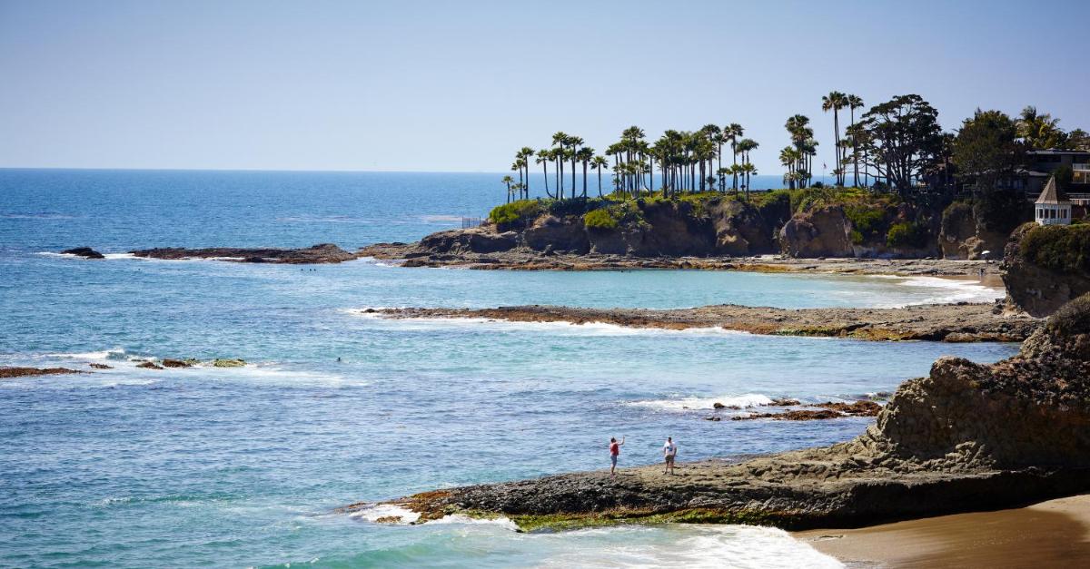Laguna Beach House - image 7
