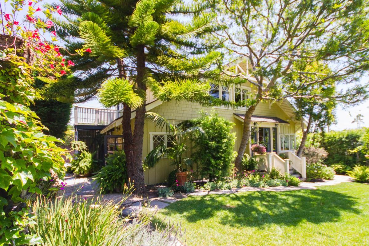 Arabella Laguna - main image