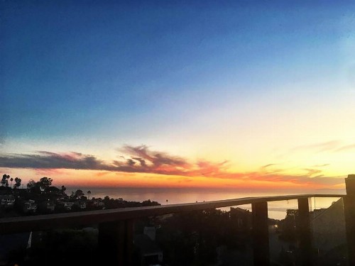 Laguna Beach Sanctuary - image 10