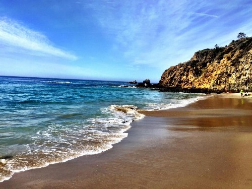 Laguna Beach Sanctuary - image 12