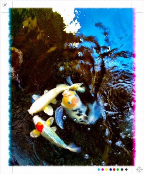 Laguna Beach Sanctuary - image 23