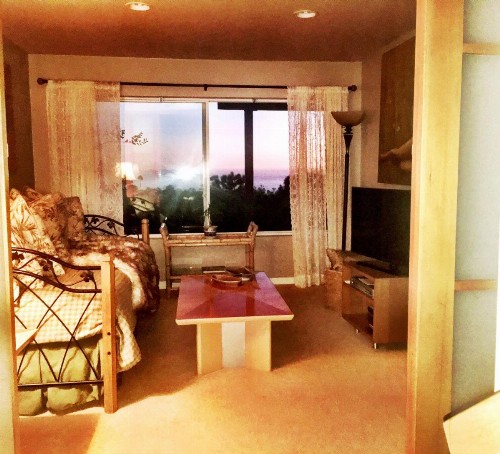 Laguna Beach Sanctuary - image 28