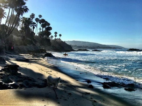 Laguna Beach Sanctuary - image 32