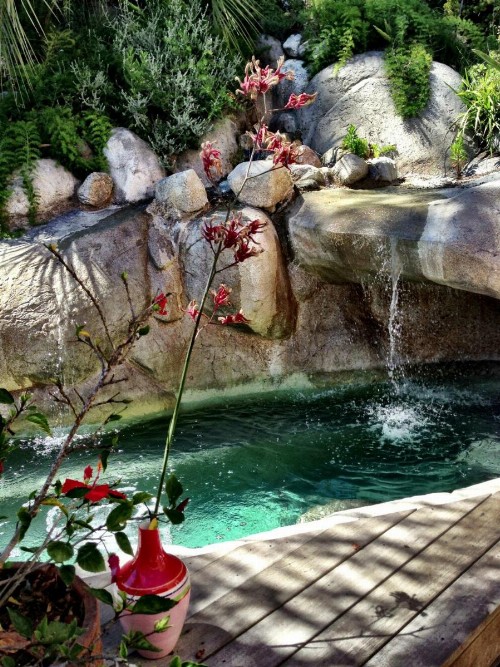 Laguna Beach Sanctuary - image 34