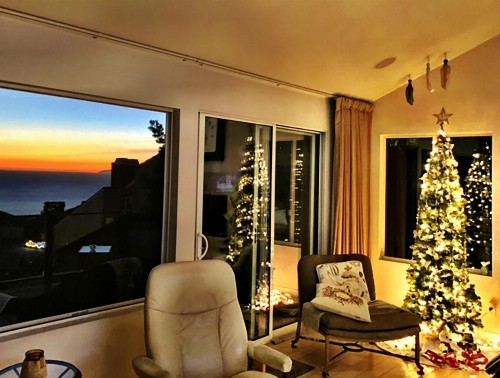 Laguna Beach Sanctuary - image 41