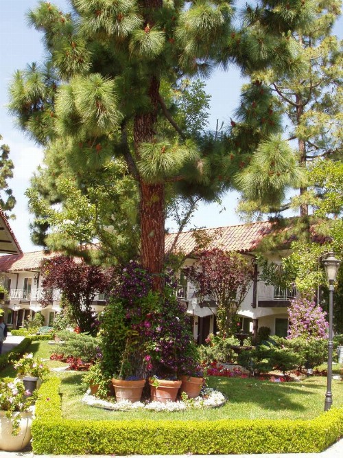 Laguna Hills Lodge-Irvine Spectrum - image 15