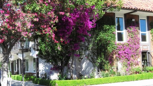 Laguna Hills Lodge-Irvine Spectrum - image 20