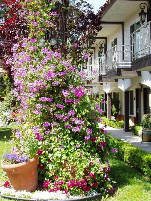 Laguna Hills Lodge-Irvine Spectrum - image 26