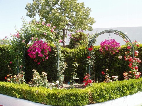 Laguna Hills Lodge-Irvine Spectrum - image 35