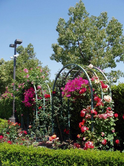 Laguna Hills Lodge-Irvine Spectrum - image 38