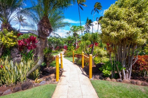 The Mauian Hotel - image 27