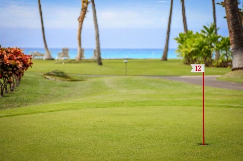 Aston at Papakea Resort - image 33