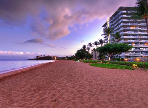 Aston at The Whaler on Kaanapali Beach - image 11