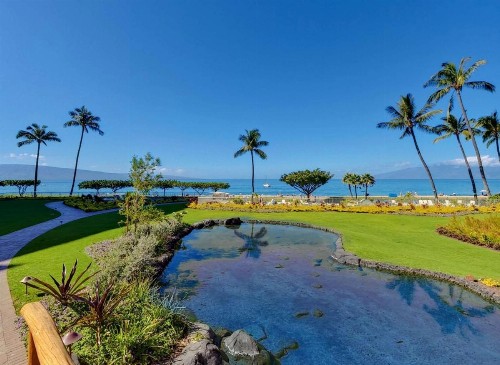 Aston at The Whaler on Kaanapali Beach - image 40