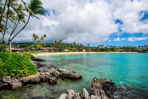 Napili Shores Maui by Outrigger - No Resort & Housekeeping Fees - image 10