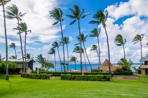 Napili Shores Maui by Outrigger - No Resort & Housekeeping Fees - image 11