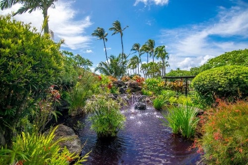 Napili Shores Maui by Outrigger - No Resort & Housekeeping Fees - image 14
