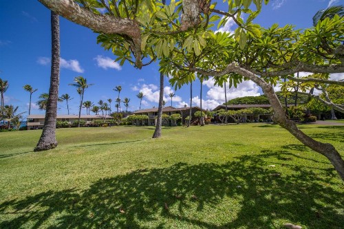 Napili Shores Maui by Outrigger - No Resort & Housekeeping Fees - image 19