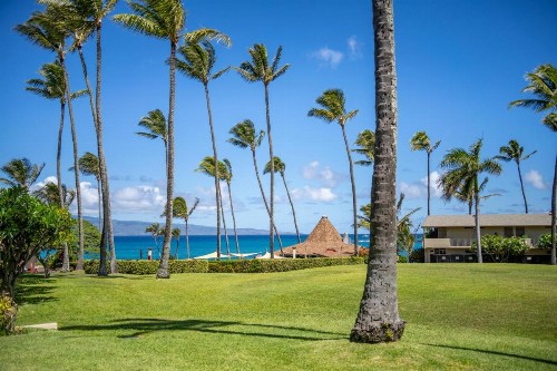 Napili Shores Maui by Outrigger - No Resort & Housekeeping Fees - image 29