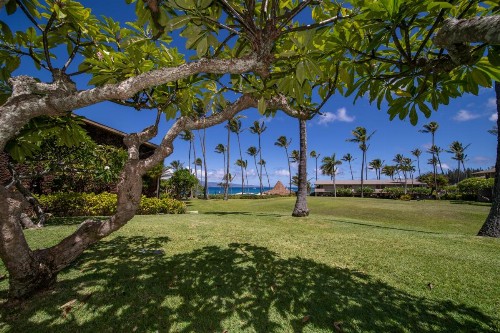 Napili Shores Maui by Outrigger - No Resort & Housekeeping Fees - image 31