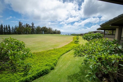 Kapalua Villas Maui - image 32