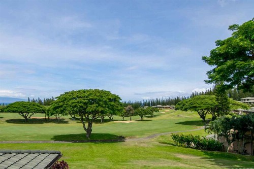Kapalua Villas Maui - image 49