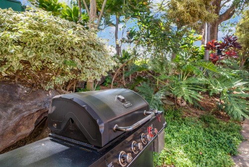 Kahana Falls Resort - image 10