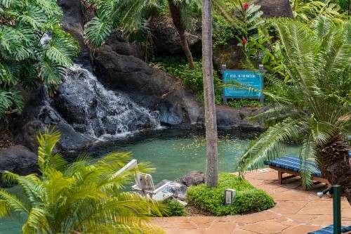 Kahana Falls Resort - image 12