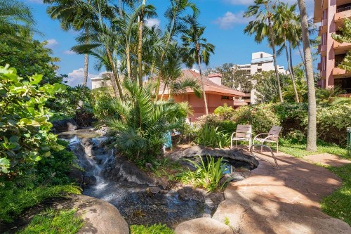 Kahana Falls Resort - image 15