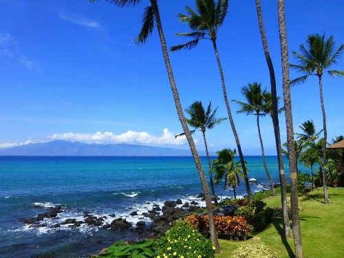 Mahina Surf