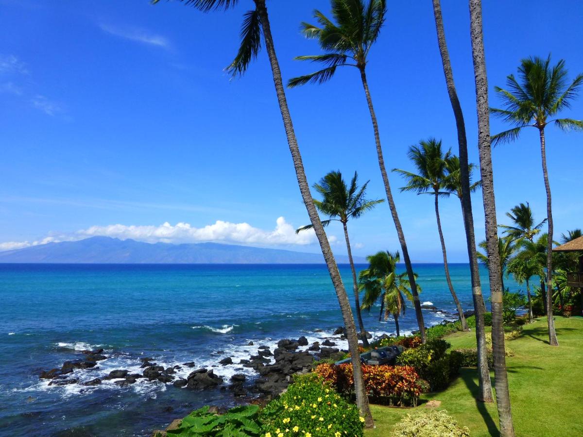 Mahina Surf - main image