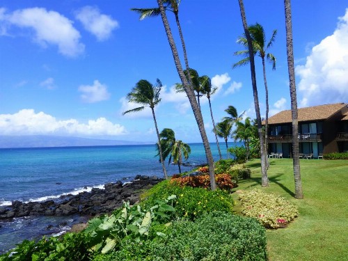 Mahina Surf - image 10